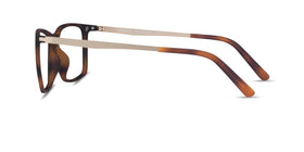 Vermont Clip-On--Tortoise