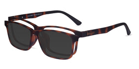 Ascutney Clip-On--Tortoise