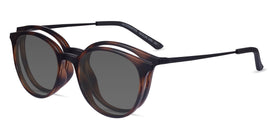 Alternative Clip-On--Tortoise