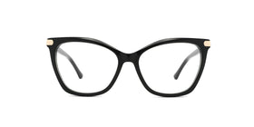 ZD8821--Blue Tortoise