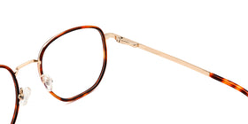 FG1103--Gray Toetoise