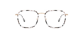 FG1108--Brown Tortoise