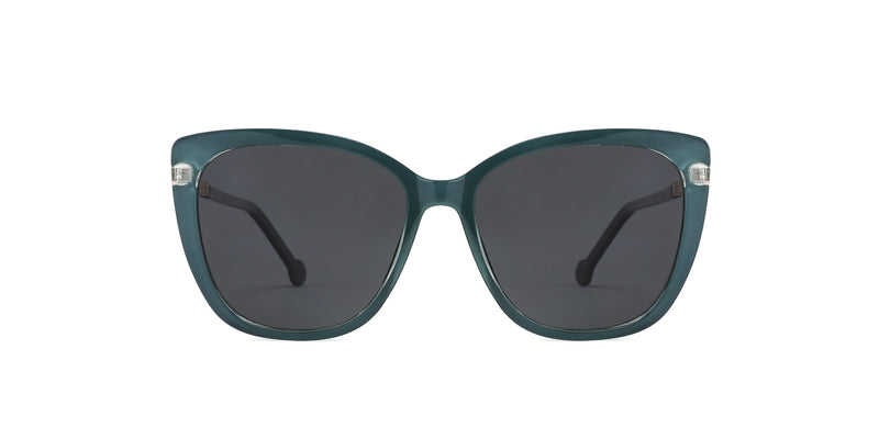 ZDTR1063T--Tortoise