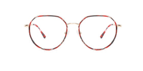 FG1110--Red Tortoise