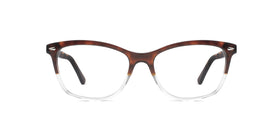 FG1199--Red Tortoise