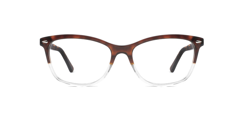 FG1199--Blue Tortoise
