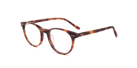 FG1041--Brown Tortoise