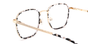 FG1108--Gray Tortoise