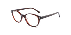 FG1011--Red Tortoise