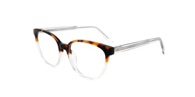 FG1183--Brown Tortoise