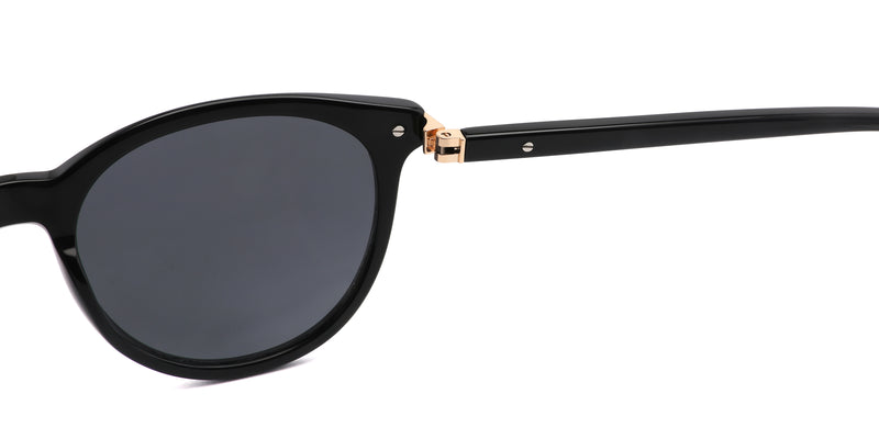 ZD8824T--Tortoise