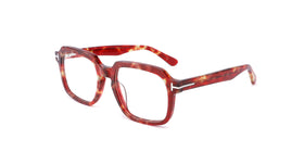 FG1148--Red Tortoise