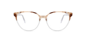 FG1183--Brown Tortoise