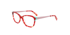 Dutchess--Red Tortoise