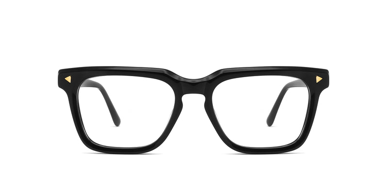 FG1401--Tortoise