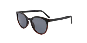 TS2031--Red Tortoise