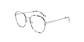 FG1104--Gray Tortoise