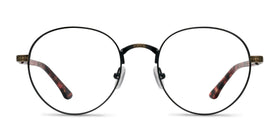 Fitzgerald--Matte Black and Tortoise