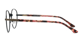 Fitzgerald--Matte Black and Tortoise