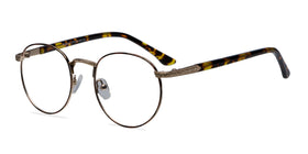 Basquiat--Golden Tortoise