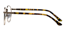 Basquiat--Golden Tortoise