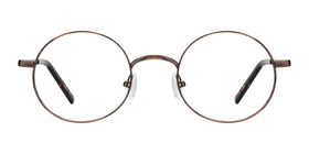 Socrates--Brown Tortoise