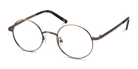 Socrates--Brown Tortoise