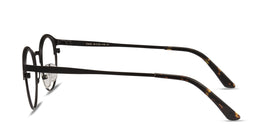 Fixate--Black Golden