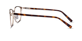 River--Bronze & Gold