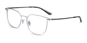 Density--Light Silver & Gunmetal