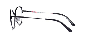 Posy--Shiny Black Red Floral