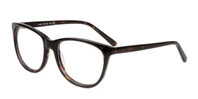 Anahi--Brown Tortoise