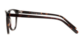 Anahi--Brown Tortoise