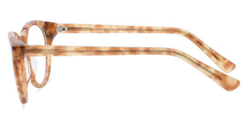 Stanford--Brown Tortoise