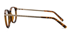 Daphne--Brown Tortoise