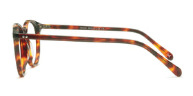 Prism--Warm Tortoise