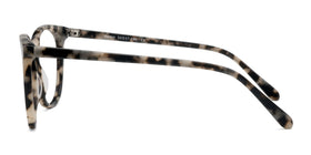 Bardot--Ivory Tortoise