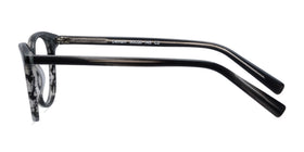 Demain--Gray Striped