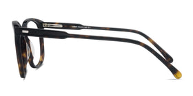 Lisbon--Dark Tortoise