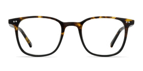 Sequence--Amber Tortoise