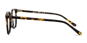 Sequence--Amber Tortoise