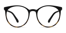 Portrait--Black Tortoise