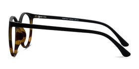 Portrait--Black Tortoise