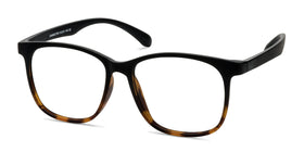 Character--Black Tortoise