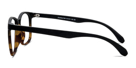 Character--Black Tortoise