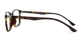 Northern--Golden Tortoise