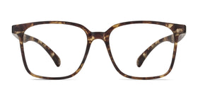 Magnus--Matte Tortoise