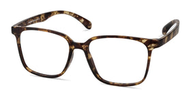 Magnus--Matte Tortoise