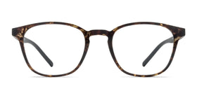 Saunter--Swirled Amber