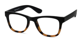 Project--Black Tortoise